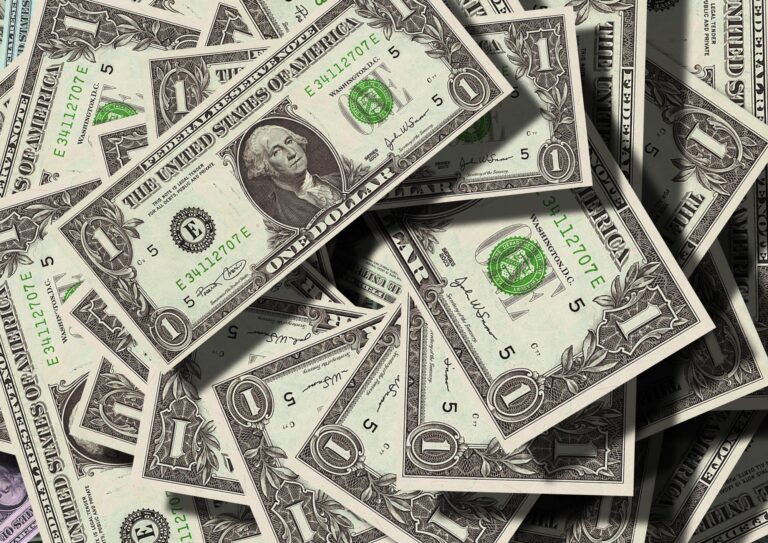 how to pay a traffic ticket